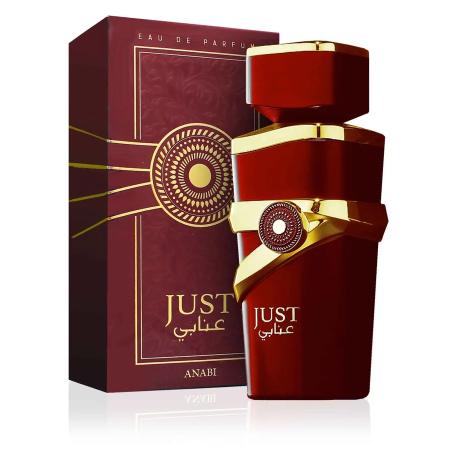Perfume JUST ANABI -EDP- Fragrance World 100 ml