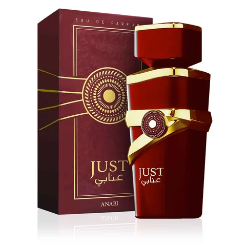 Perfume JUST ANABI -EDP- Fragrance World 100 ml